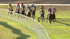 Hilarious moment: Uninvited kangaroo Joins In Horse Race