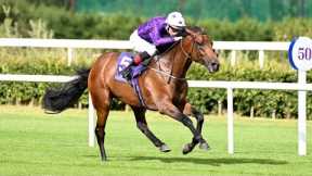 $350,000 purchase HILL ROAD creates HUGE impression on debut at Leopardstown!