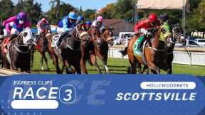 20240724 Hollywoodbets Scottsville Race 3 won by CAPTAIN MARSALA