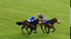 Horseracing thrills & spills compilation