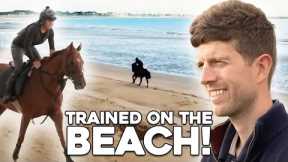 The bargain buy Ebor contender who is trained on the beach!