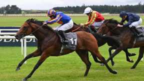 Aidan O'Brien's THE LION IN WINTER creates big impression on debut at the Curragh 👀