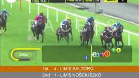 2024-08-11 - Race 9 Singapore Kranji Horse Racing Highlights | Pace88 Horse