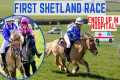 FIRST SHETLAND RACE WITH CLOUDY *