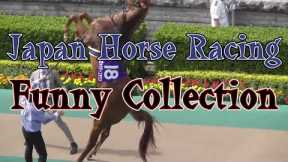 Japanese Horse Racing funny cute videos