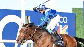 ANMAAT springs 40/1 shock in dramatic QIPCO Champion Stakes