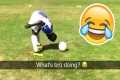 BEST FOOTBALL FAILS, SKILLS, &