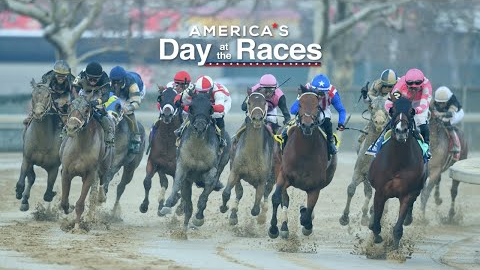 America's Day at the Races - November 15, 2024