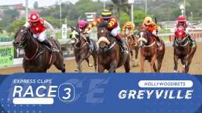 20241103 Hollywoodbets Greyville Race 3 won by SEE IT AGAIN