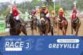 20241103 Hollywoodbets Greyville Race 