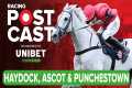 Betfair Chase at Haydock | Horse