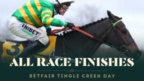 All race finishes from Betfair Tingle Creek Day at Sandown Park