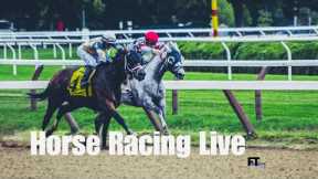 Horse racing Live from Canada, USA - December 14 2024