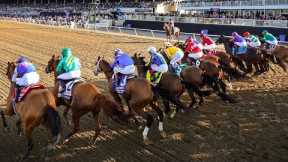 Live Racing From Turf Paradise With Picks