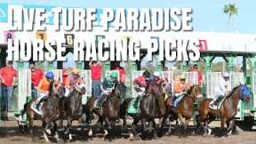 Live Racing From Turf Paradise and Picks