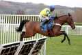 LUCKY PLACE enhances Stayers' Hurdle