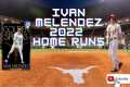 IVAN MELENDEZ ALL 32 HOME RUNS -