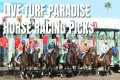 Live Racing From Turf Paradise and