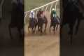 JOCKEY SAVES FELLOW RIDER FROM