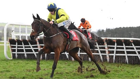 William Munny enhances Supreme credentials with poignant Punchestown win ❤️