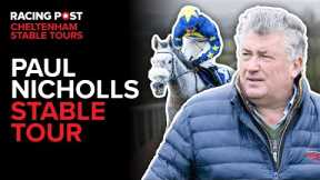 Paul Nicholls Stable Tour | 2025 Cheltenham Festival | Racing Post