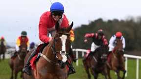 Things you LOVE to see! SIR GERHARD gets back in the winner's enclosure at Punchestown ❤️