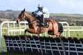 Jade De Grugy enhances Mares' Hurdle