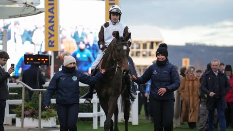 First ride in Britain & at Cheltenham = Kim Muir glory for Barry Stone aboard Daily Present!