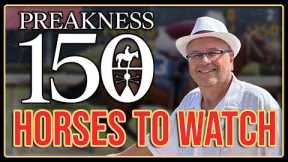 3 HORSES TO WATCH | 2025 Preakness Stakes Picks, Predictions and Odds