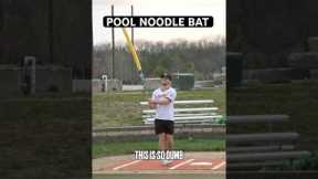 We tried hitting a Home Run with a Pool Noodle Bat…