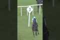 Horse jumps wrong obstacle 😂