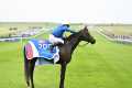 RULING COURT gives Charlie Appleby