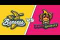 Savannah Bananas vs Party Animals at