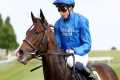 €2m Frankel colt TREANMOR stars on