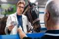 I Hired Race Horses To Bet On Horse