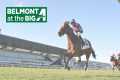 Talking Horses - May 18, 2025