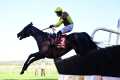 By 22 lengths! GALOPIN DES CHAMPS