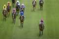 Wow! ZELAINA set for Royal Ascot