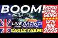 Live Horse Racing Australia | Free