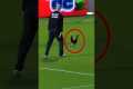 Animals moments in football #short