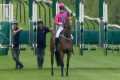 The racehorse who tries not to win! | 