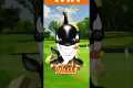 Whale  Golf - Real Golf Gamified