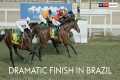 CRAZY FINISH TO HORSE RACE IN BRAZIL