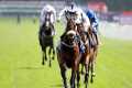 Consistent AL QAREEM guarantees Ebor