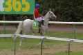 ESTRANGE 12/1 for Arc following