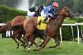 Talking Horses - July 6, 2025