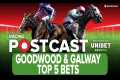 GOODWOOD & GALWAY TOP 5 BETS |