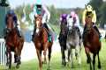150/1 QIRAT produces biggest shock in 