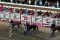 Bareback Relay Horse Racing at the