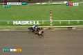 Incredible horse! JOURNALISM wins